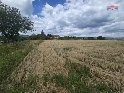 Vrdnik | 4zida.rs