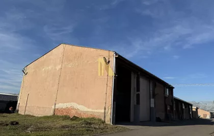 Salajka | 4zida.rs