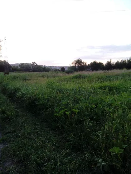 Vladimira Rajkovica - Veliki lug | 4zida.rs