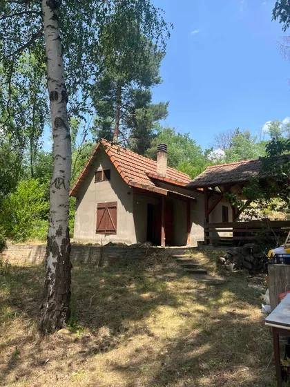 Devojački Bunar | 4zida.rs