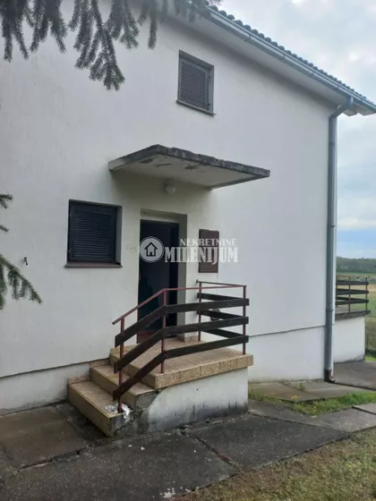 Tije Simića | 4zida.rs