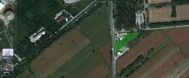 Beogradska