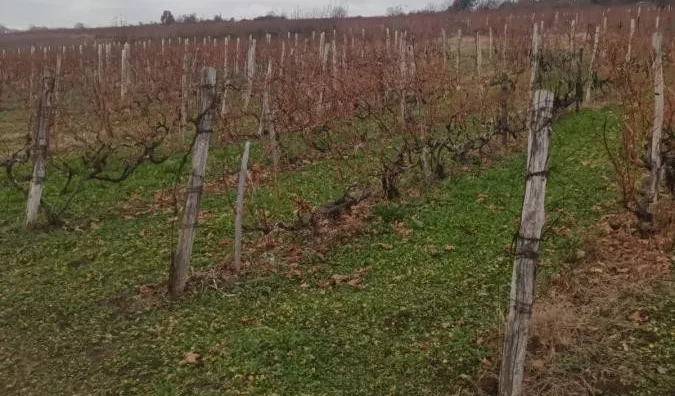 Poljoprivredno zemljište | 4zida