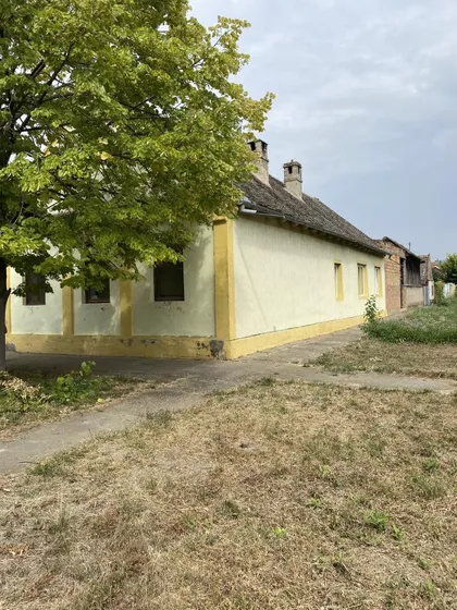 Debeljača | 4zida.rs