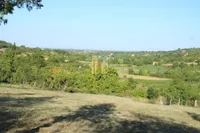 Plac | 4zida