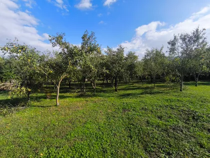 Partizanska 7 | 4zida.rs