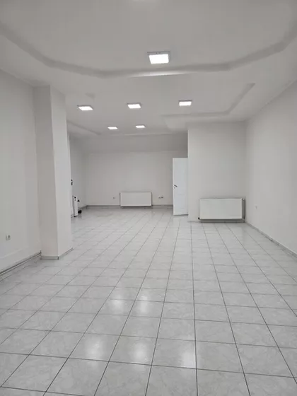 Žarka Zrenjanina | 4zida.rs
