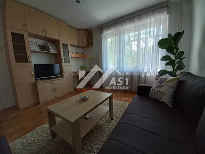 Miše Dimitrijevića | 4zida.rs