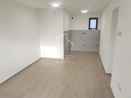 Žarka Vasiljevića | 4zida.rs