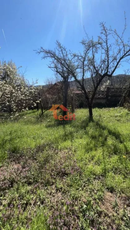 Niška Banja | 4zida.rs