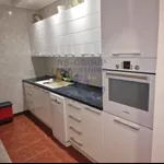 Nova Detelinara, Detelinara, Gradske lokacije, Novi Sad | 4zida.rs | 4zida.rs