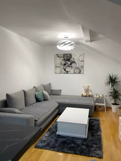 Živka Petrovića | 4zida.rs