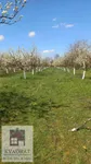 Poljoprivredno zemljište | 4zida