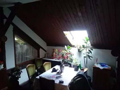 Jaše Prodanovića | 4zida.rs