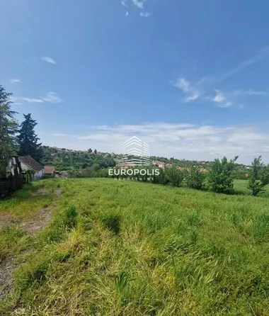 Ostružnica