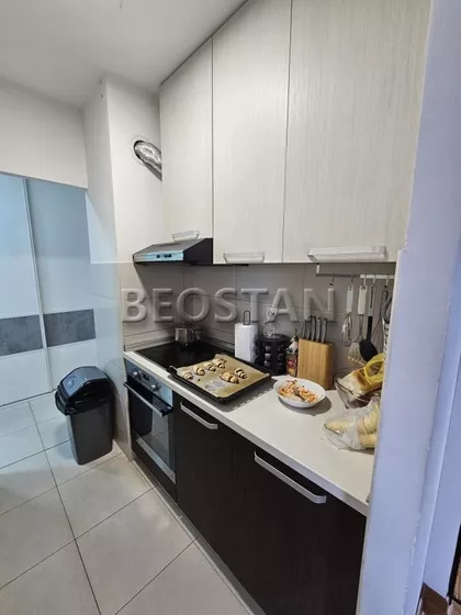 Dr Ivana Ribara | 4zida.rs