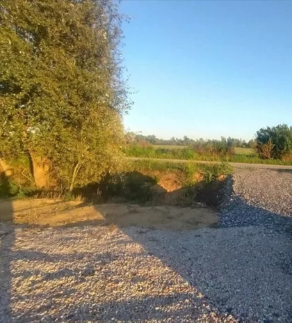 Branka Ostojića | 4zida.rs