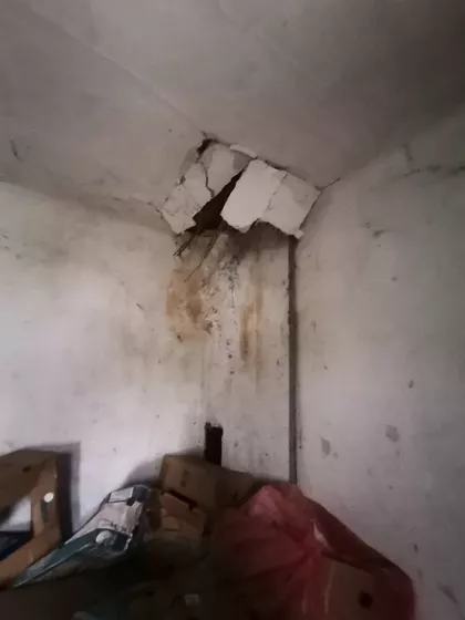 Dudova Šuma | 4zida.rs