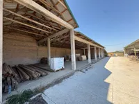 Hala | 4zida