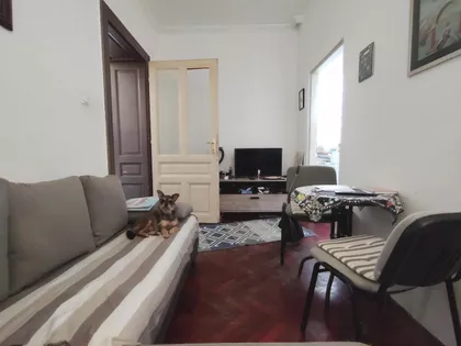 Bulevar Despota Stefana | 4zida.rs