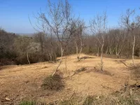Novi Slankamen, Okolne lokacije, Inđija | 4zida.rs
