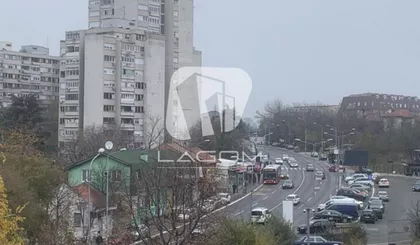 Vojvode Vlahovića | 4zida.rs