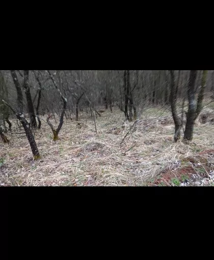 Gornja Mutnica | 4zida.rs