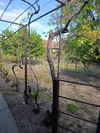 Vase Miskina | 4zida.rs