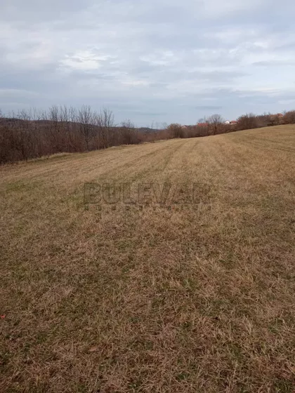 Veliko Krčmare | 4zida.rs