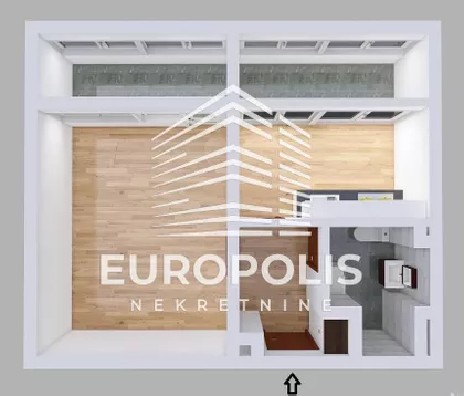 Dr Ivana Ribara | 4zida.rs