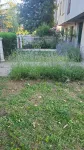 Šestosoban stan | 4zida