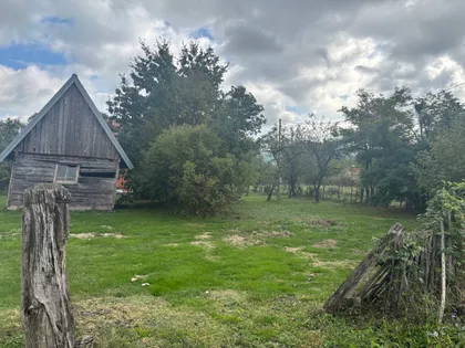 Pante Savića | 4zida.rs