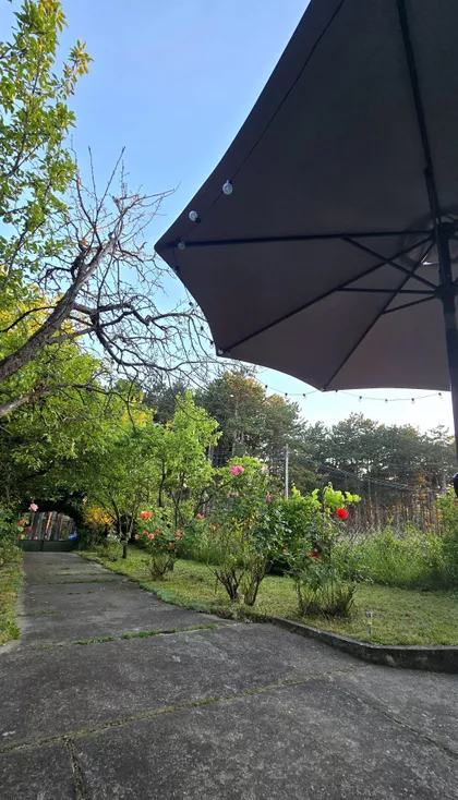 Dragiše Vitoševića | 4zida.rs