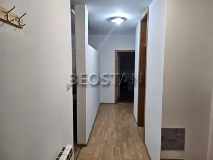 Milana Uzelca | 4zida.rs