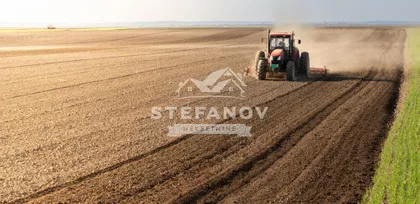 Farkaždin | 4zida.rs