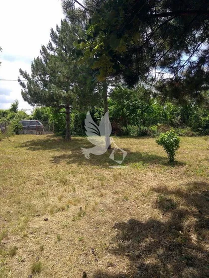 Koraćica | 4zida.rs