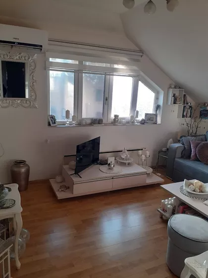 Žike Mesarovića | 4zida.rs