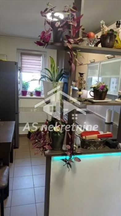 Beograđanka | 4zida.rs