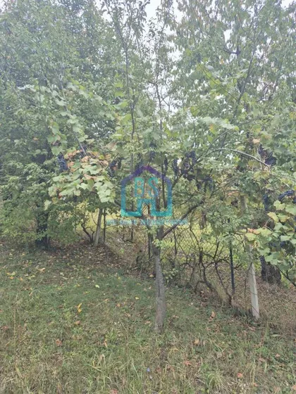 Alibegovac | 4zida.rs