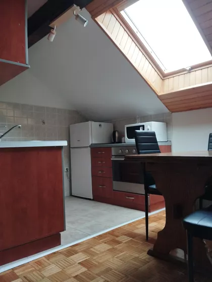 Svetozara Papića | 4zida.rs