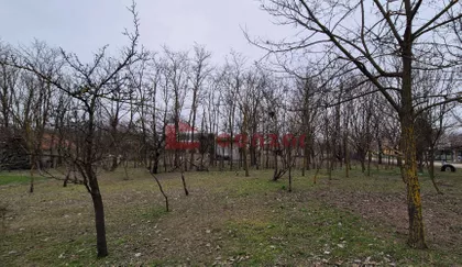 Radanovac | 4zida.rs