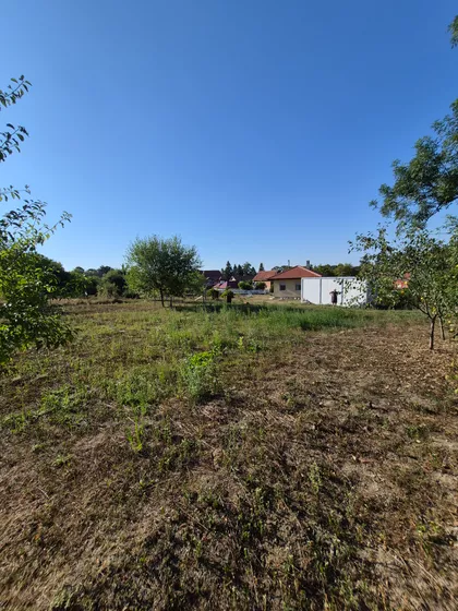 Junkovac | 4zida.rs