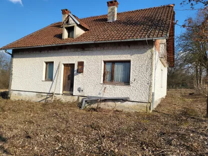 Ksenije Atanasijević | 4zida.rs