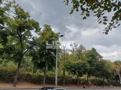 Pjarona de Mondezira | 4zida.rs