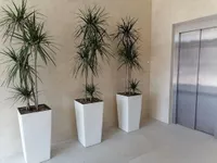 Centar, Gradske lokacije, Zrenjanin | 4zida.rs