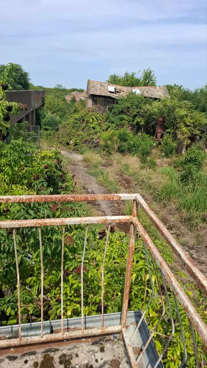 Novi Kozjak | 4zida.rs