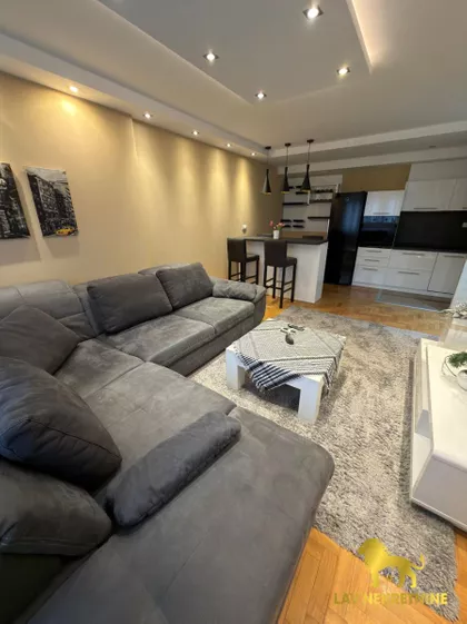 DR SVETISLAVA KASAPINOVIĆA | 4zida.rs