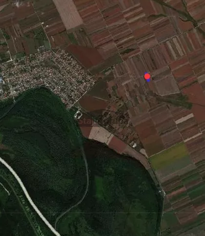 Državna šuma | 4zida.rs