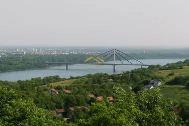 Ledinci