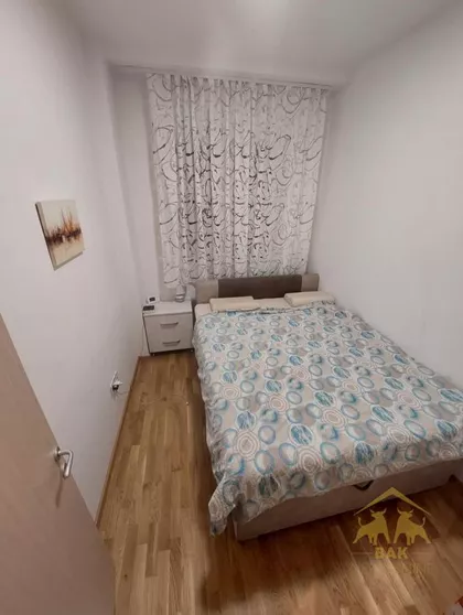 Salajka | 4zida.rs